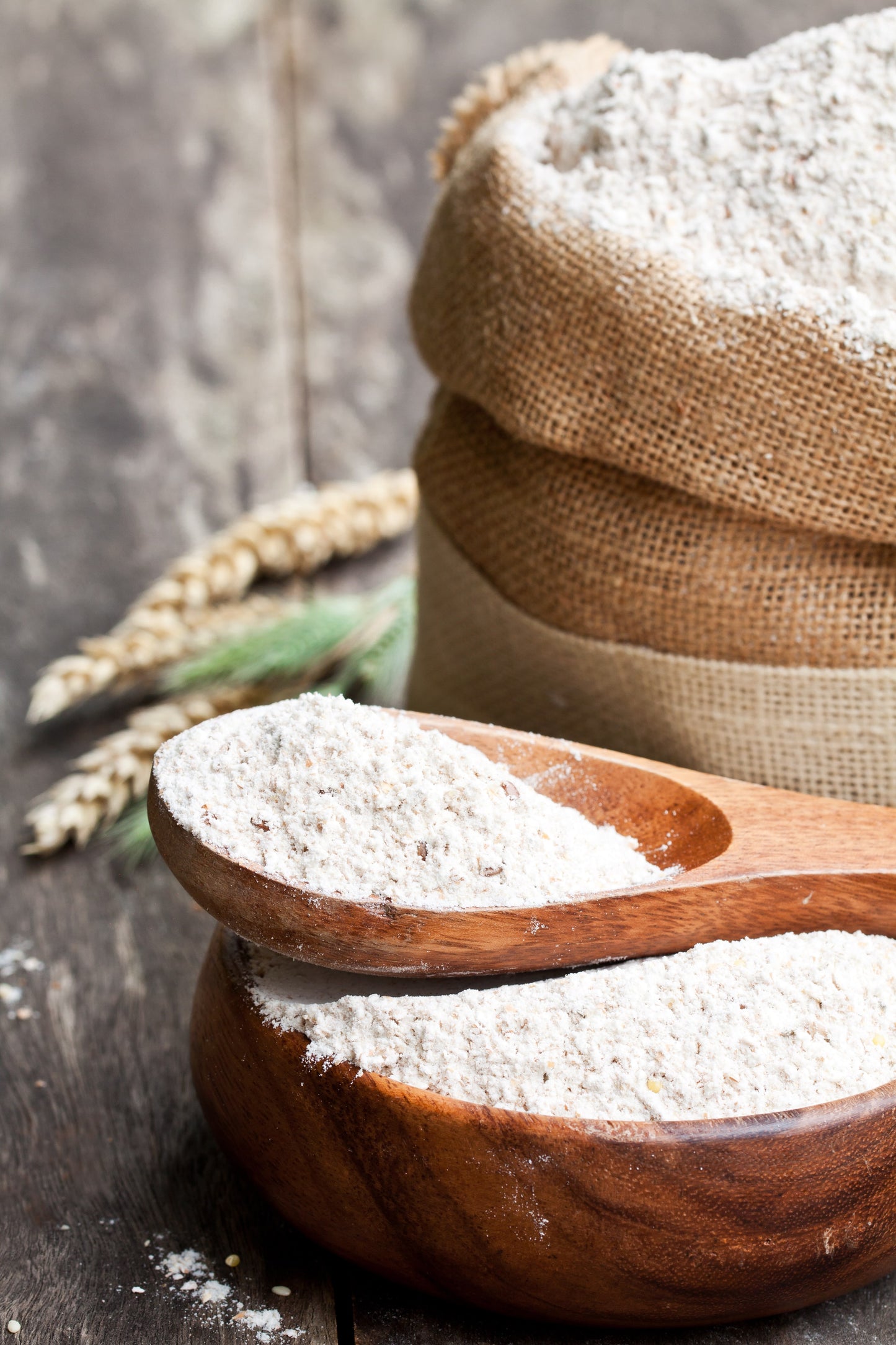 Organic all-purpose einkorn flour, 5 lbs.