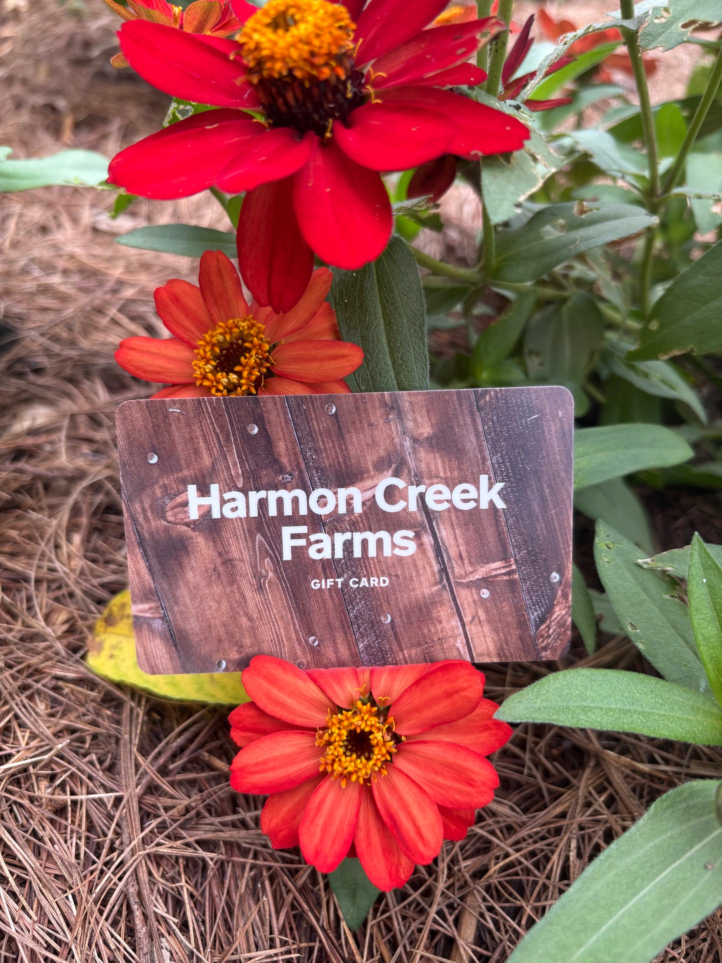 Harmon Creek Gift Card