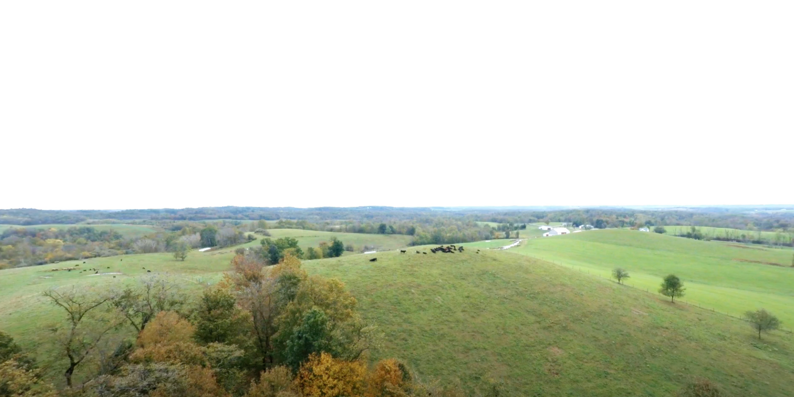 Harmon Creek Farms photo 2